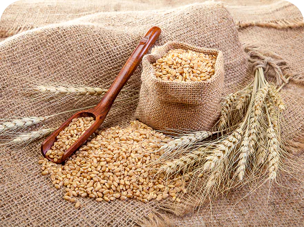 wheat-sackcloth-bags